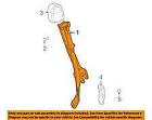 12477917 General Motors Genuine Gm Front Seat Belt Kit