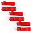 1812536 Safety Harnesses Seat Belts Chevy Truck Standard Red Lap Bench