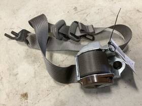 212.fd8516 F150 2016 Seat Belt Rear 310259