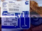 3967609 Cummins Accessory Drive Gear In Trks Eng