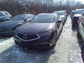 210-53724 Acura Seat Belt Front With Active Protection System Passenger Fits 15-20 Tlx 842573