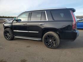 210-10065 Cadillac Seat Belt Front Bucket Passenger Retractor Opt Ax7 Fits 17-20 Escalade 1762335 210-10065 Cadillac Seat Belt Front Bucket Passenger Retractor Opt Ax7 Fits 17-20 Escalade 1762335