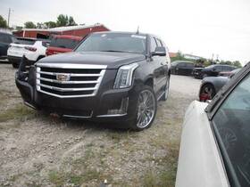212.gm6c16 Cadillac Escalade 2016 Seat Belt Rear 1600851