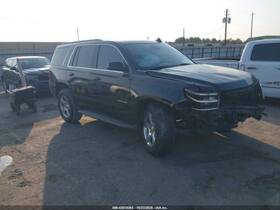 19303042 Chevrolet Truck Tahoe 2015 Seat Belt Rear 8817160