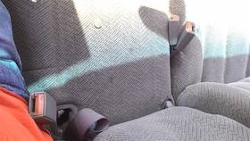 210.gm8f99 Chevrolet Truck Subchev15 1999 Seat Belt Front 25680998