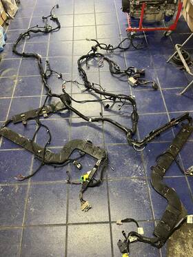 84134402 Corvette 2017 Grand Sport Body Harness