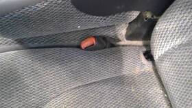 210.ch8397 Dodge Truck Dakota 1997 Seat Belt Front 1862011