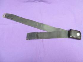61172 Ford 1968 1969 Mustang Seat Belt Buckle