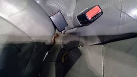 210-01294 Ford Truck Seat Belt Front Bench Split 40/60 Fits 01-03 F150 Pickup 1215870