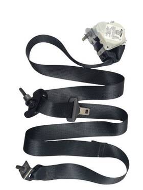 212.fd8g17 Ford Truck Explorer 2017 Seat Belt Rear