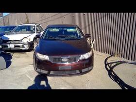 210-52565 Kia Seat Belt Front Bucket Coupe Driver Buckle Fits 10 Forte 1136190 210-52565 Kia Seat Belt Front Bucket Coupe Driver Buckle Fits 10 Forte 1136190
