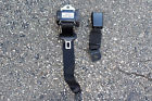 9117261 Lower Belt Bmw Oem