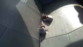 210.mz1595 Mazda B2300 1995 Seat Belt Front 25655389