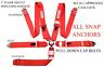 Rdn2981923csec Red Safety Harness Point Sfi Racing Cam Lock Floor Mount