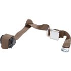 Wsch300-dk Brown Beams Seat Belt
