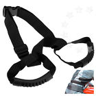 Www735548268482 American Classic Motors Promotion New Pillion Passenger Grab 735548268482