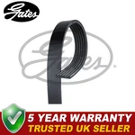 Gates V-ribbed Belts Fits Sl Class Transit 6PK2203. Fixed Price $34.11.