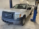 Seat Belt Front Bench 40/20/40 Passenger Fits 09-11 Ford F150 Pickup 1030808. Fixed Price $159.90.
