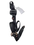 Tucson 2016 Seat Belt Rear 631034. Fixed Price $109.00.