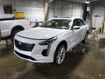 2019 Cadillac CT6 Front Passenger Seat Belt & Retractor Tan. Fixed Price $160.00.