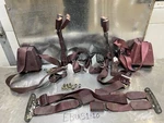 1988-1998 Chevy Gmc K1500 Extended Cab Seat Belt Complete Set Red Front & Rear. Fixed Price $299.99.