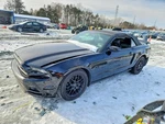 Seat Belt Front Bucket Driver Buckle Fits 13-14 Mustang 2438110. Fixed Price $140.00.