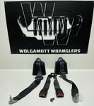 Rear Seat Belts + Dual Female Buckles 03-06 Jeep Tj Wrangler CC9J. Fixed Price $249.60.