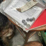 New Old Stock Ford Genuine Parts Button Kit #YR3Z-6365070-AA.. Fixed Price $50.00.