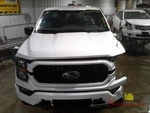 2023 Ford F150 Pickup Front Passenger Seat Belt Latch Black. Fixed Price $120.00.
