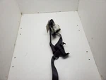RAM1500 2005 Rear Seat Belts 325751. Fixed Price $50.00.