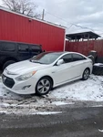 Seat Belt Front Bucket Vin 5TH Digit Hybrid Fits 11-15 Sonata 1729667. Fixed Price $75.00.