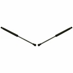 New Front Set Of 2 Lh And Rh Side Black Hood Lift Supports Fits Nissan Maxima. Fixed Price $49.86.