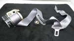 1999-2004 Ford Mustang Rear Passenger Side Seat Belt Coupe New Nos Grey. Fixed Price $89.50.