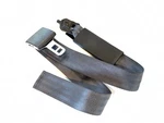 Lap Belt Front Center 1998-2001 Dodge Ram 1500 2500 3500 Quad Or Ext Club Cab. Fixed Price $21.99.