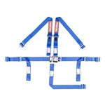 Racequip 709029RQP Latch And Link 5 Point Youth Harness, Blue. Fixed Price $107.85.