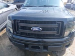 Seat Belt Front Bench 40/20/40 Center Fits 11-14 Ford F150 Pickup 1764115. Fixed Price $100.00.