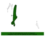 New Genuine Nissan Belt Assy-tongue, Pretension Frt Rh Oe 868845RL9C. Fixed Price $495.73.