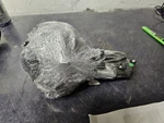 Front Left Seat Belt Fits: 2020 Buick Encore Driver Retractor. Fixed Price $125.00.