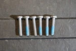 2018-2022 Ford Mustang Gt M5X.8 Torx Bolts Mounting Hardware Oem. Fixed Price $14.99.