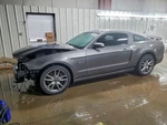 Seat Belt Front Bucket Passenger Retractor Coupe Fits 10-14 Mustang 2098013. Fixed Price $123.48.