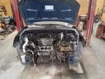 Seat Belt Front Bucket Driver Buckle Fits 05-07 Tucson 431392. Fixed Price $52.50.