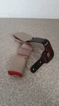 2000-2005 Buick Century Front Center Seat Belt Buckle 88894378 Oem Neutral. Fixed Price $35.00.