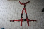 Jdm Used Willans Racing Harness Seat Belt GC8 EK9 DC2 Itr Ctr Nissan R32 Gtr. Fixed Price $107.90.