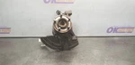 17 Ford Mustang Shelby GT350 Spindle Knuckle Front Left Driver. Fixed Price $350.00.