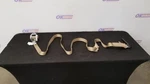 17 Ford F350 Super Duty Seat Belt Front Right Passenger Tan Crew Cab. Fixed Price $68.00.