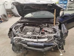 Front Seat Belt Honda Accord 13 14 15 16 17. Fixed Price $119.99.
