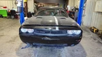 Seat Belt Front Bucket Driver Buckle Fits 11-16 Challenger 1203655. Fixed Price $100.00.