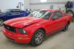 Seat Belt, Front For Mustang Rf Gry Male-belt Side Pretension. Fixed Price $114.99.