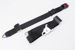 Sure-lok AL700842 Titan 96-INCH Integrated Occupant Restraint Triangular Stud. Fixed Price $79.95.