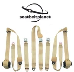 1982-1987 Buick Regal Driver Passenger Center, Front Bench Seat Belt Kit. Fixed Price $319.95.
